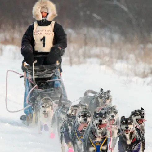 Gunflint Mail sled dog race