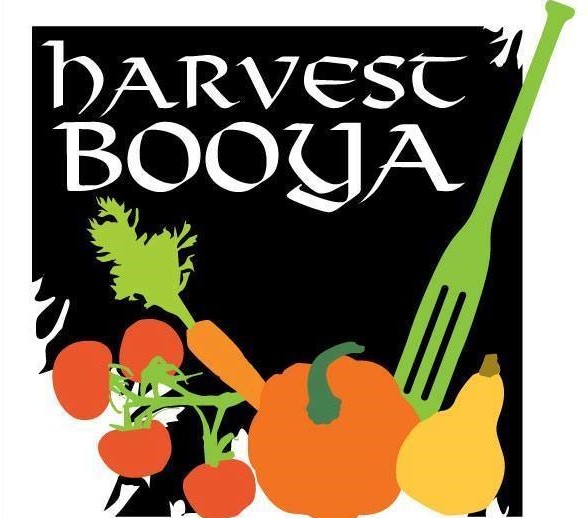 Harvest Booya