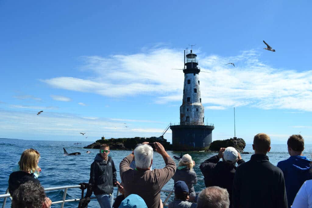 tour boat group looking at rock of ages lighthouse at isle royale not seeing whale