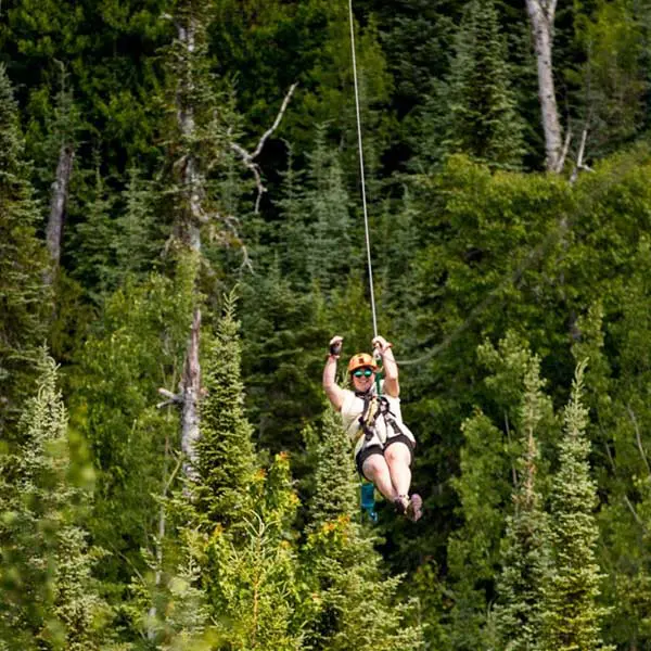Towering Pines Canopy Tour