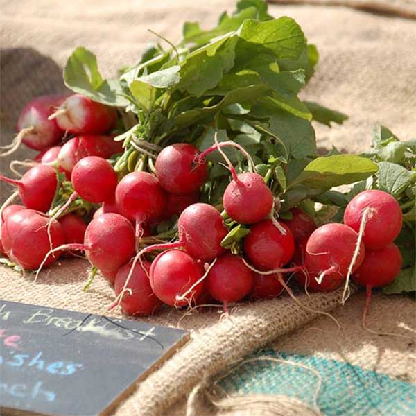 Local Food Market