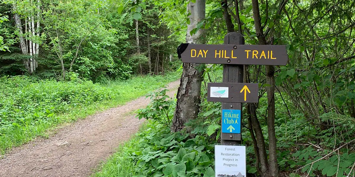 hiking trail in the woods at split rock lighthouse