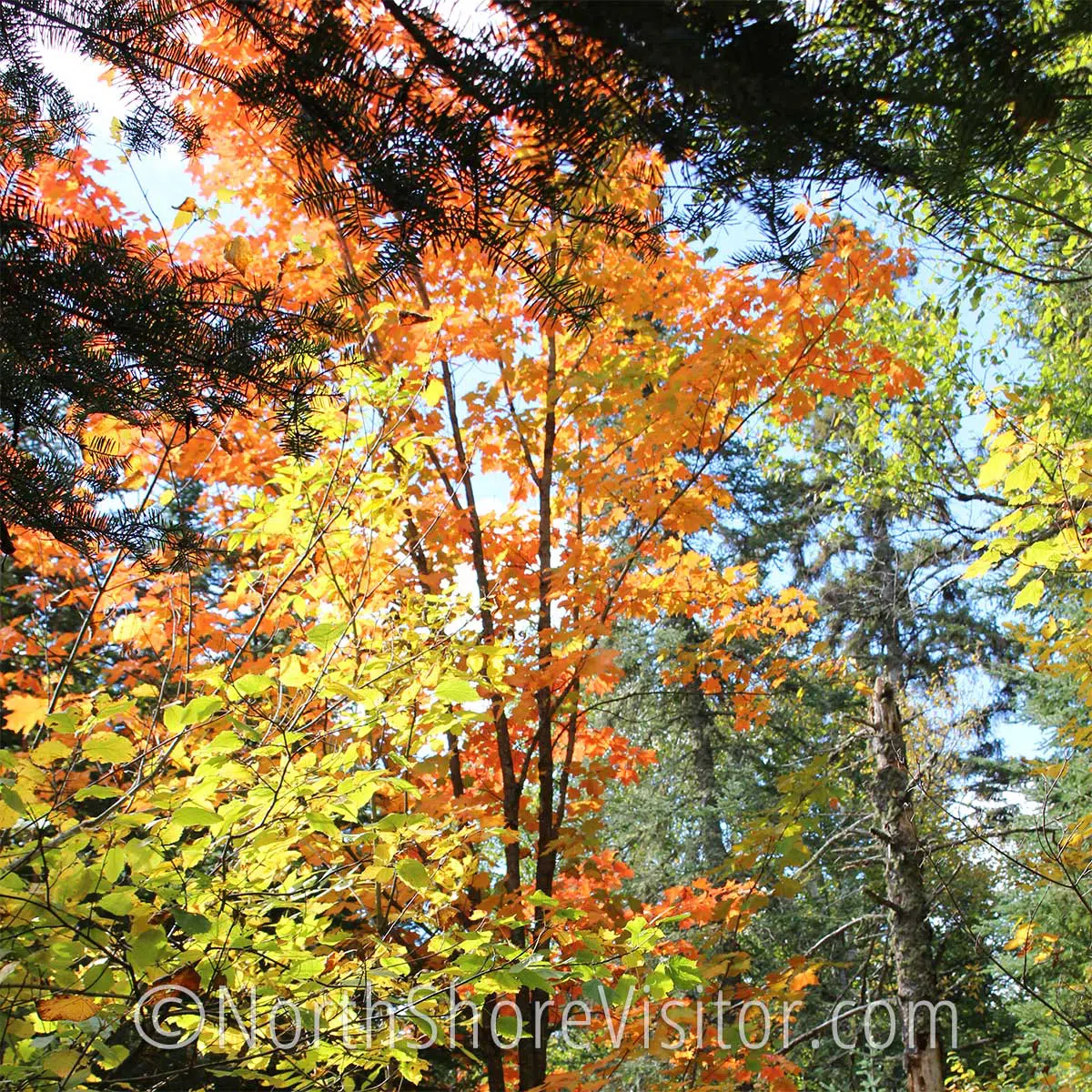 Fall Equinox