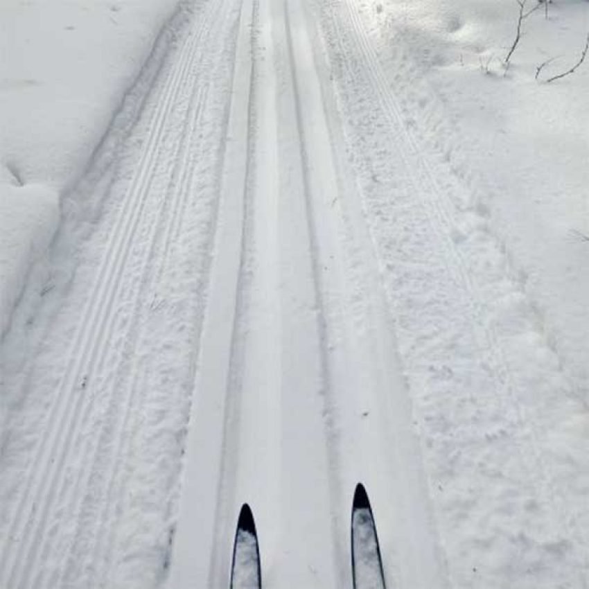 flathorn-gegoka-skitrails-11feb cross country ski tips on snowy north shore trail