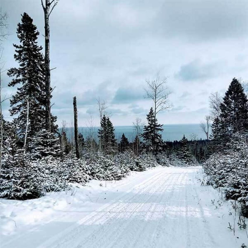 lower-deer-lutsen-trails snow covered snowmobile trail and pine trees with Lake Superior in the distance